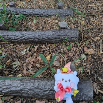 まき★2Jヒョン