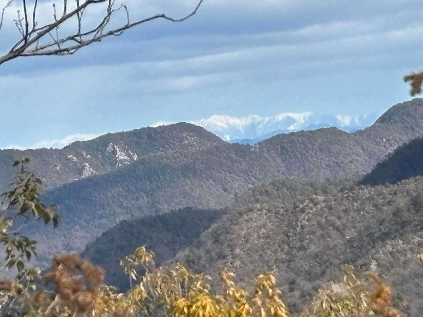 白山大権現参道口-野一色権現山-洞山 往復コースの写真