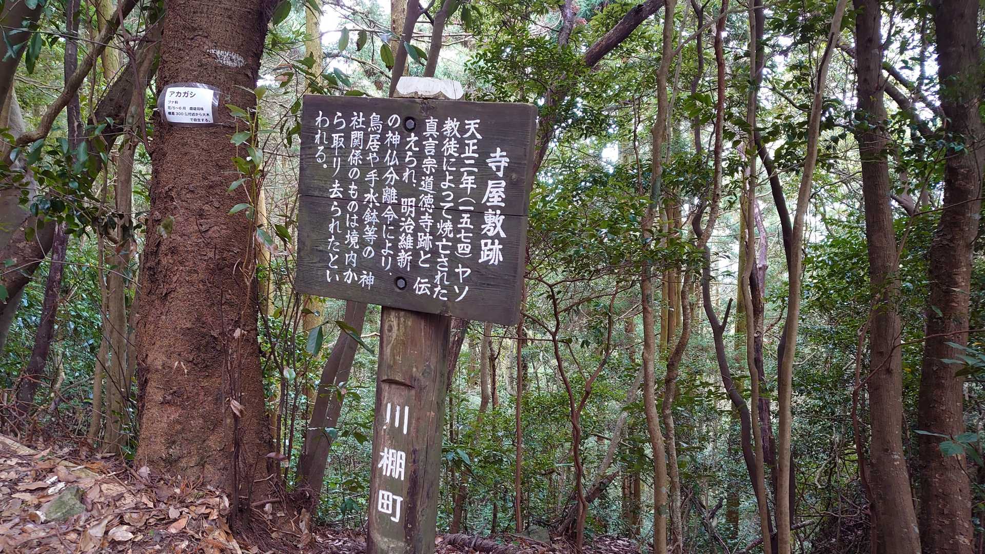 ふむふむ・・・眠狂四郎が関係してたのか・・・・（妄想）