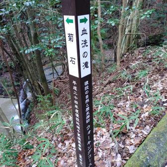 ほう、川沿いの道を下るようやな