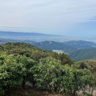 ここからの景色が一番良かったです