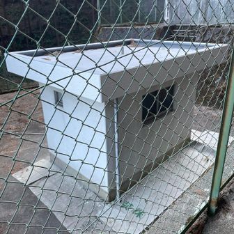 どうやら建物の外装を塗り直しているようです。