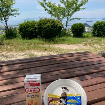 ヤクルト&チョコ&クッキーでおやつタイム