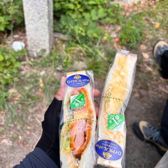 麓のデイリーヤマザキで買ったサンドイッチ
出来立て美味しい