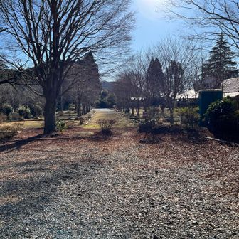 良く整備されたキャンプ場