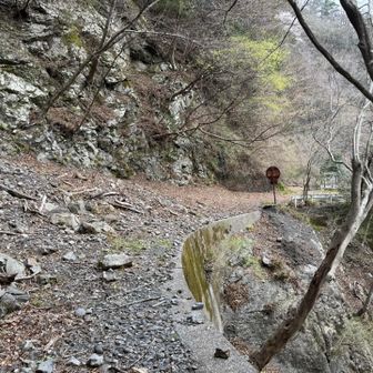 ぶっちゃけ遺構とか興味ないけど。