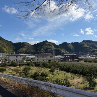 さっき歩いた山。
小さいポコポコの連続でミニアルプスだね😆