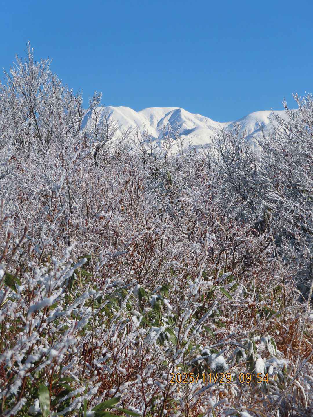 取立山登山口-取立山 往復コースの写真