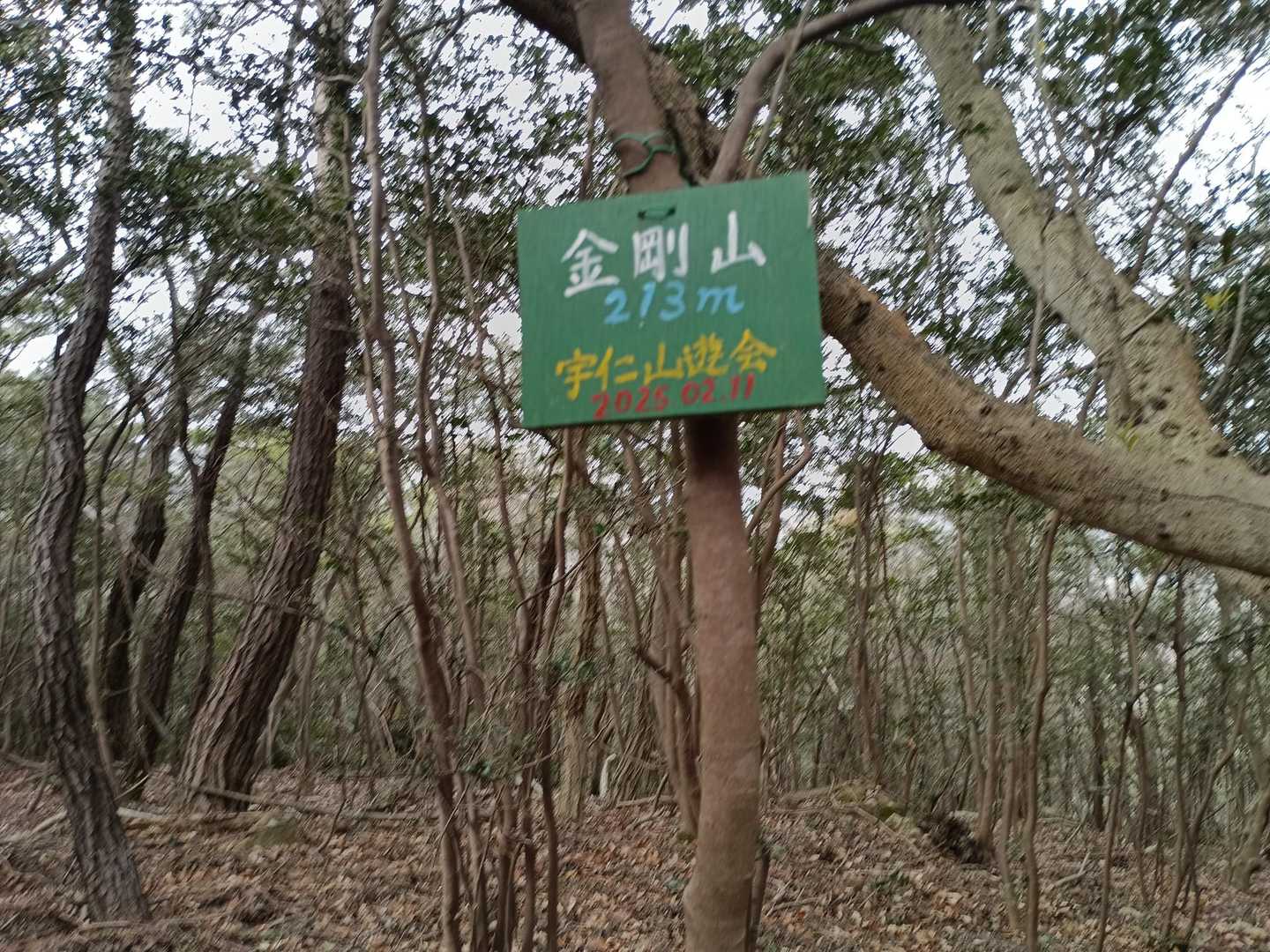少し歩いて、金剛山に着きました。
展望は無いですね.,