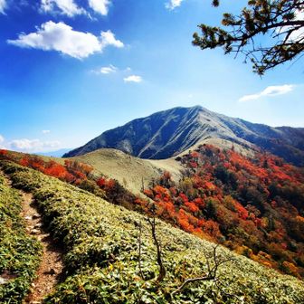 さるにゃん🐵🍌