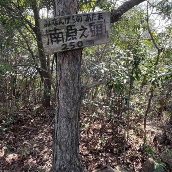南原之頭⛰️
なんばらの頭😳みなんばらの頭が正解⭕️