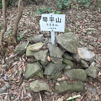 琴平山到着