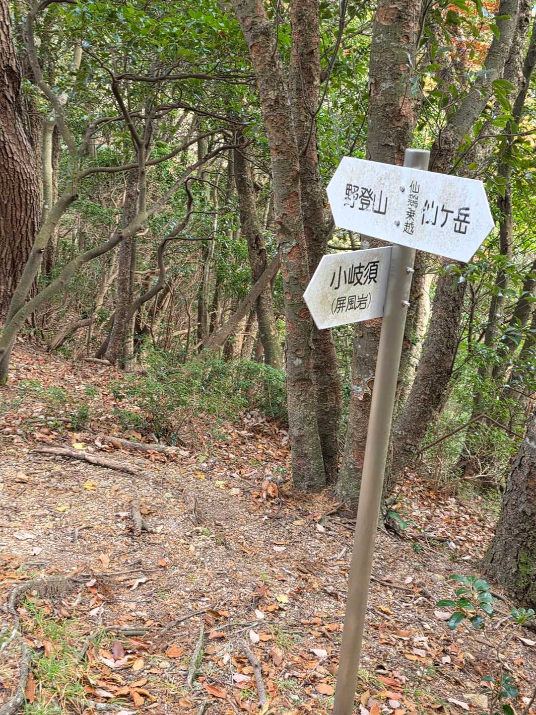 宮指路岳-小社峠-仙ヶ岳 縦走コースの写真