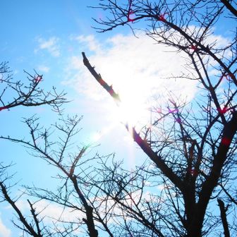 天気も良くなってきました