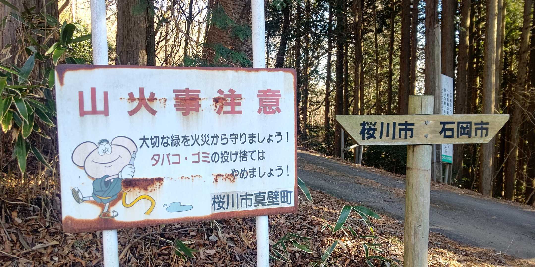 まといリスじゃない！😅