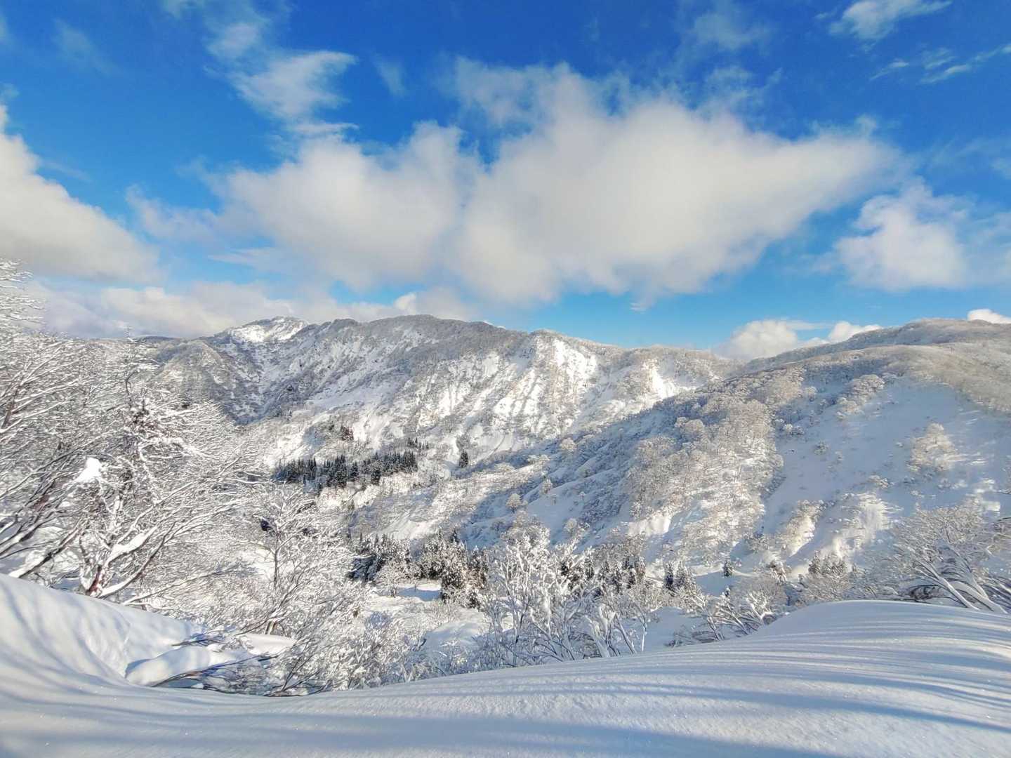 三ノ峠山-枡形山-萱峠 往復コースの写真