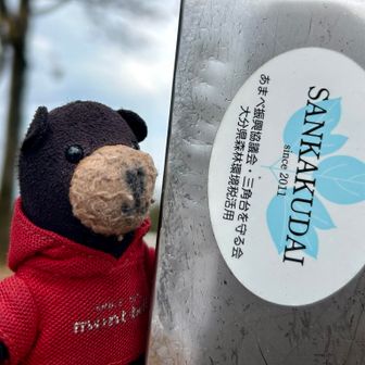 鎮南山 山頂標識に
三角台シールが( ´艸｀)