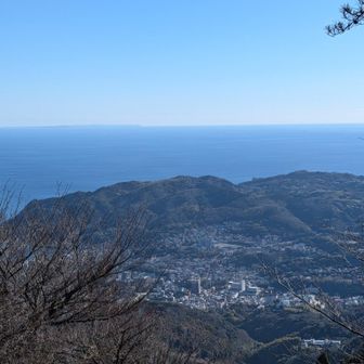 山頂付近の景観