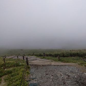 雲の中で髪の毛びちょびちょ