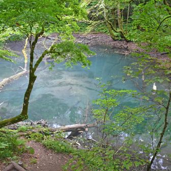 湧壺の池