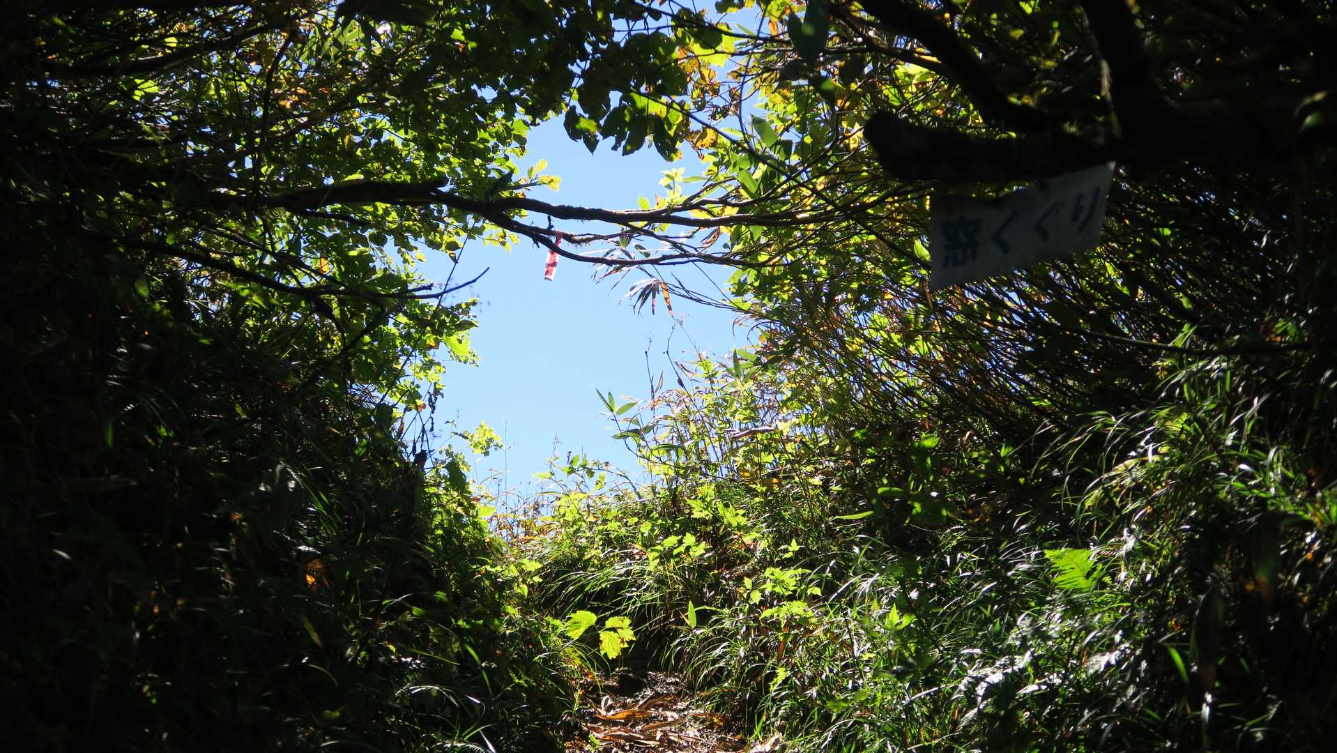 西ノ又コース登山口-神室山-前神室山 周回コースの写真