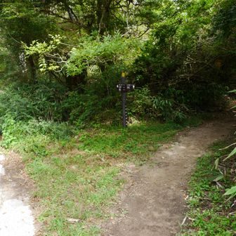 車道わきに登山道あり