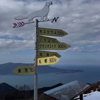 この子はオコジョですかね？