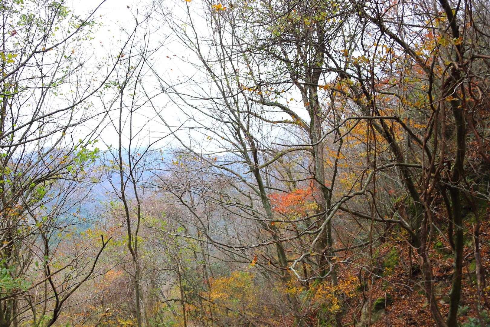 中摩殿畑山 往復コースの写真