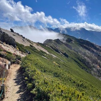 🔶shinyama516隊🔶