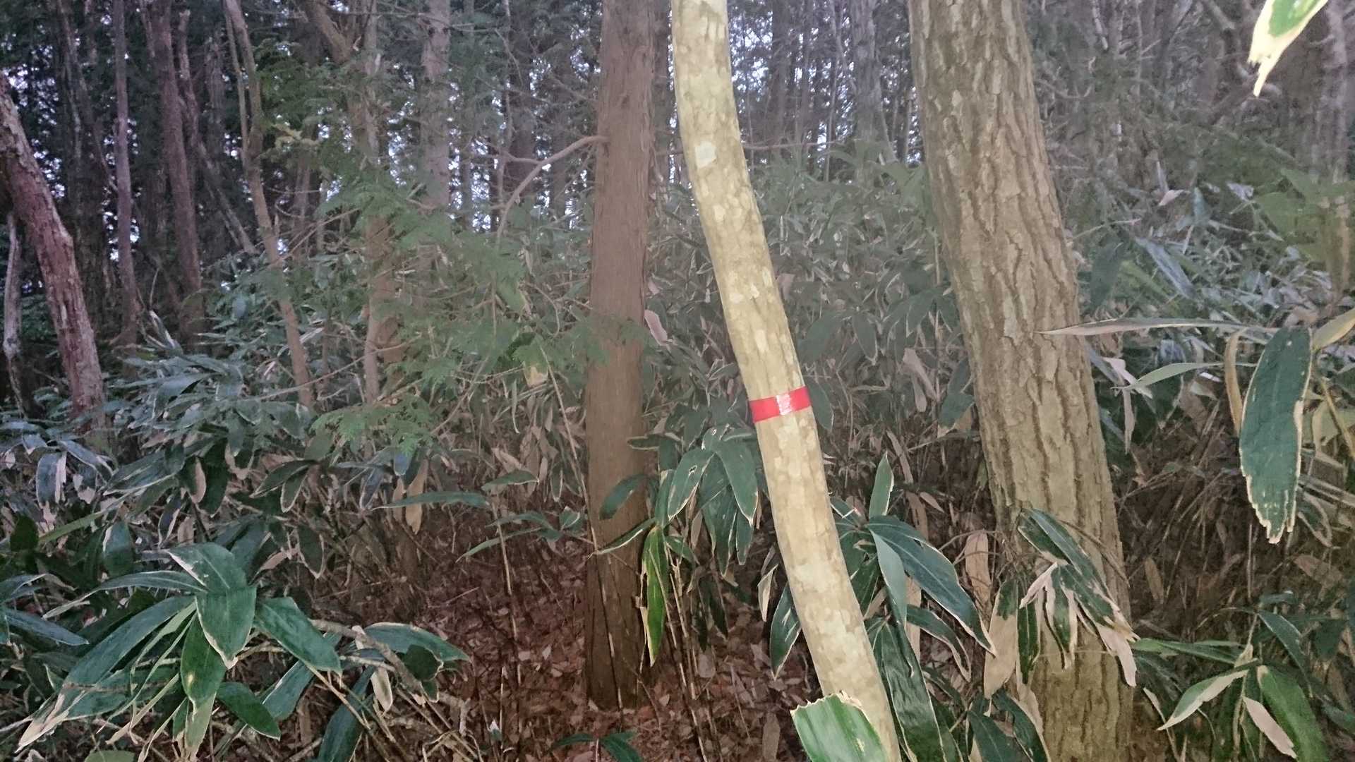 目印