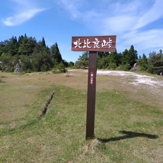 風が抜けるが日差しが強い
日焼け止め塗ってない🌞