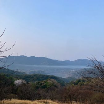引佐湖を見渡す
右に三岳山