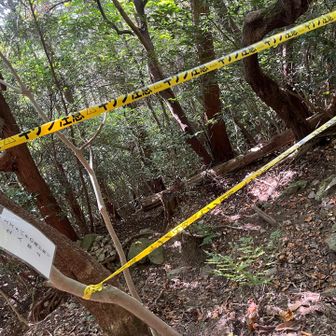 立入禁止の中を通ってたおじさん、
『1週間前に蜂の巣は駆除さした。もう蜂はおらんよ』

でも、まだ立入禁止ですよね。。。