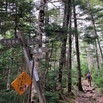 前掛山分岐🪧
下山時に寄ります。