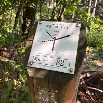 ここからは高雄(栂尾)まで一気に下っていきます