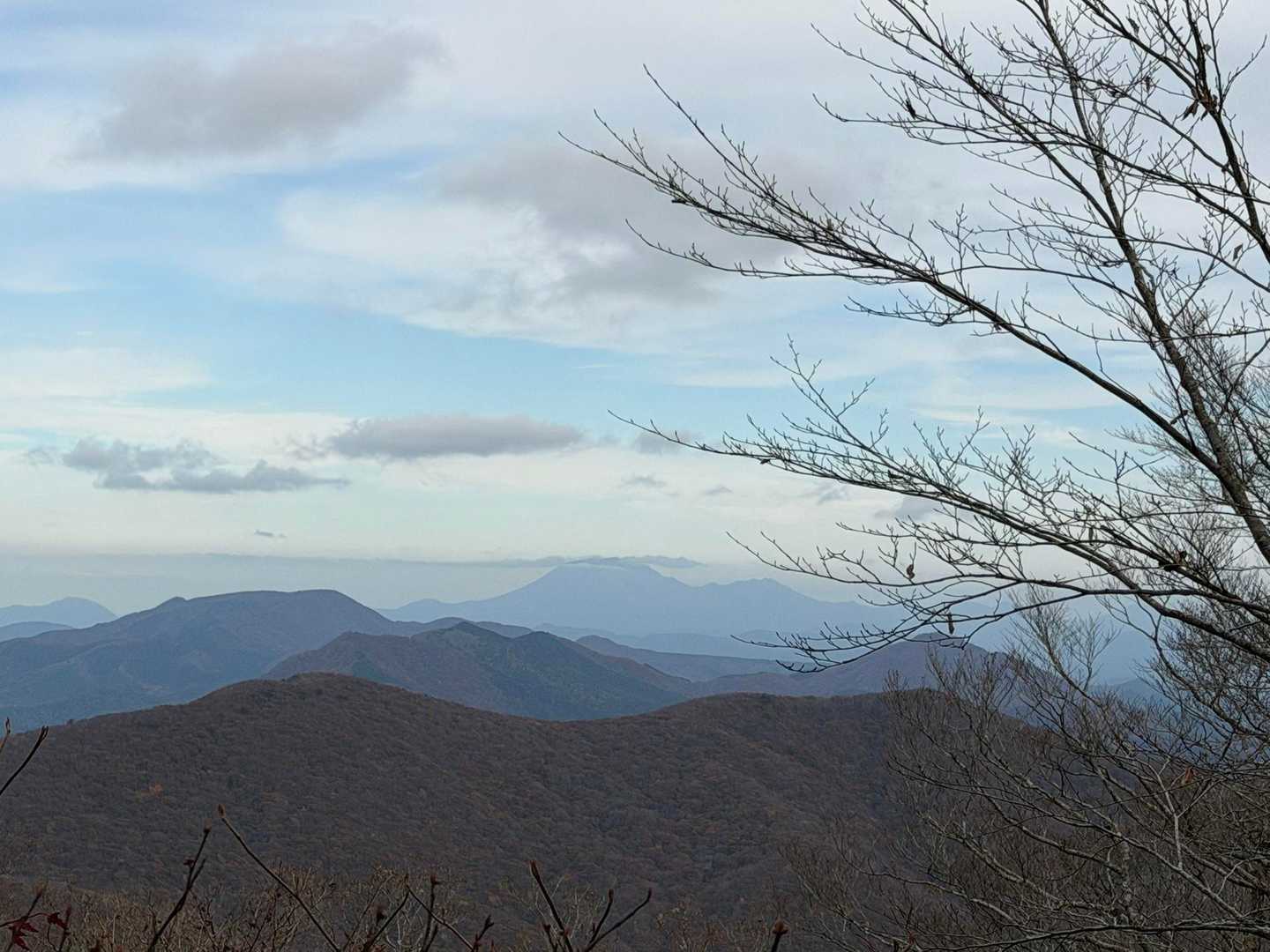 大山さんよね