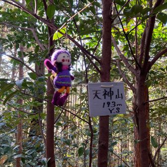天神山⛰️頂上と相棒

中久津山⛰️に向かいます。
YAMAP上、中久津山⛰️へのルートはありませんが、踏み跡があります。