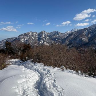 っさ、お腹もいっぱいに
なったので
下山しますか🐸
昼過ぎから
天気崩れるみたいだし🤔