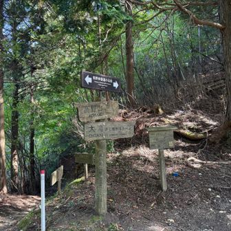 円通律寺への分岐。この先は熊野古道小辺路になる。
