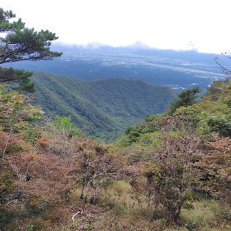 金ヶ岳からの眺望。曇ってます