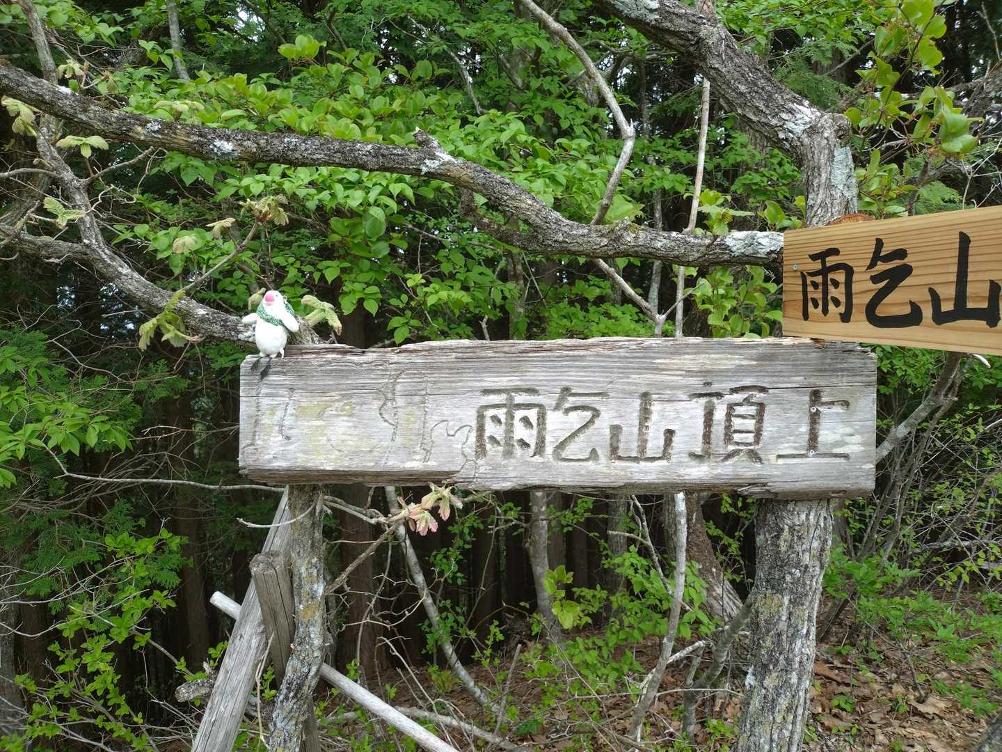 下って登ってやっと【雨乞山】山頂到着です😙
眺望ナシ🍐なので撤退します！