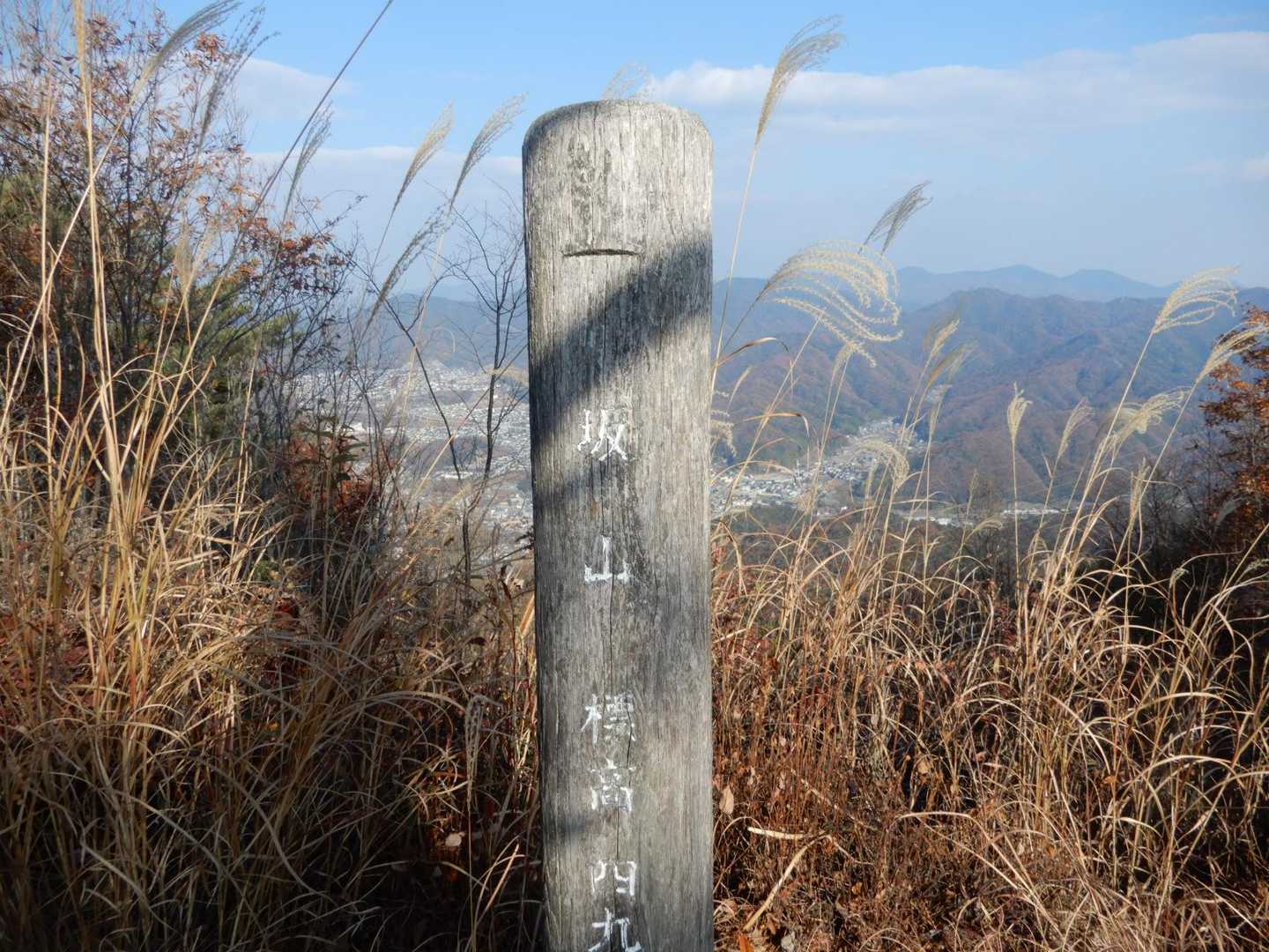坂山山頂