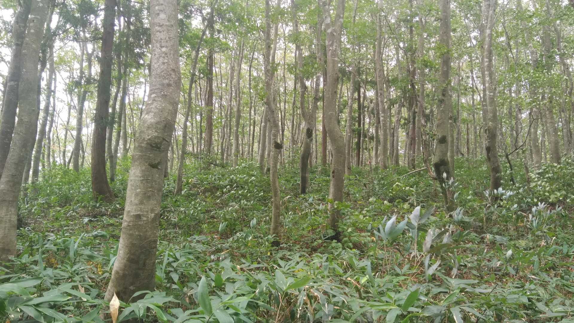 幻想的だね🎵