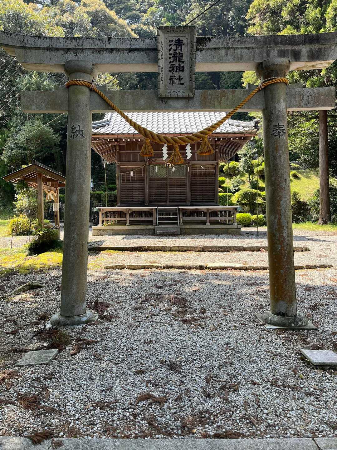 下りてきました〜