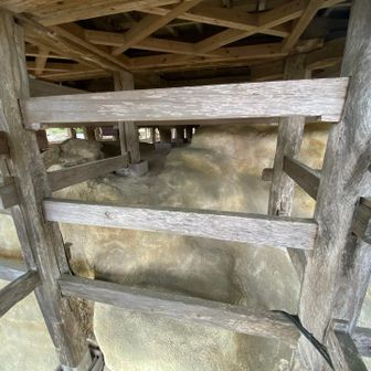 観音堂の床下はこんな感じ