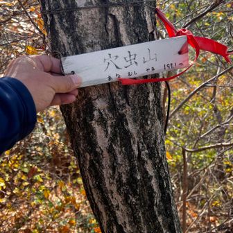 急いでパチリ。