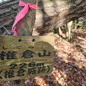 ここも城跡らしいよ🏯