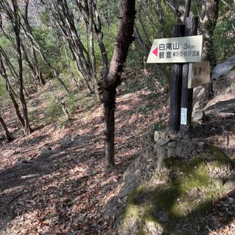 最後は黒滝山を避けて、本日の登山終了⛰️お疲れ様山