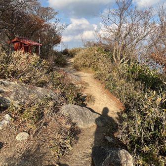 ぜーぜー言いながら頂上🙌