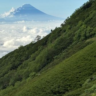 やっぱり富士山
